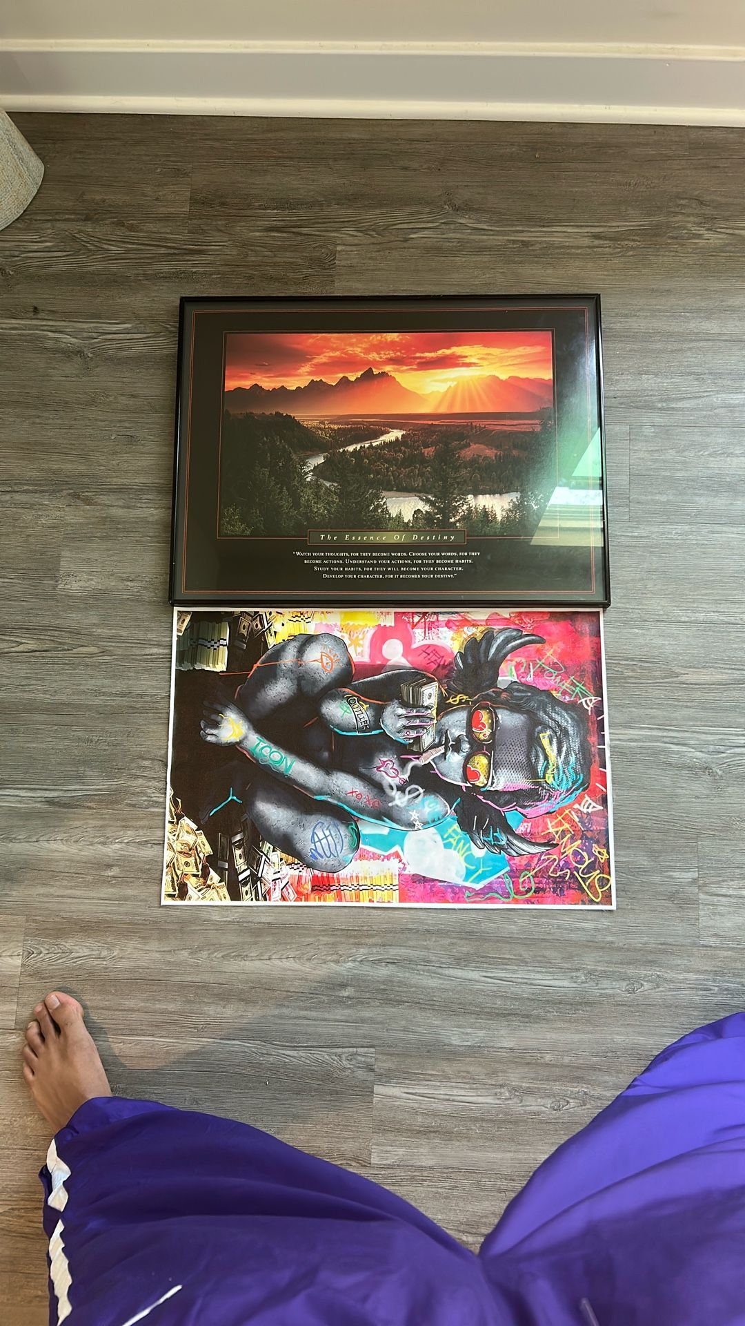 Picture In Frame And Loose Picture