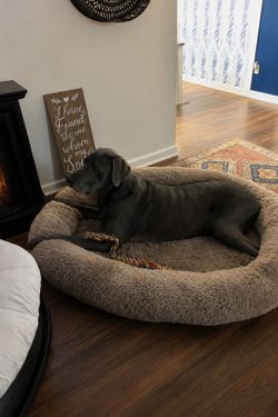 Great Dane - Human dog bed