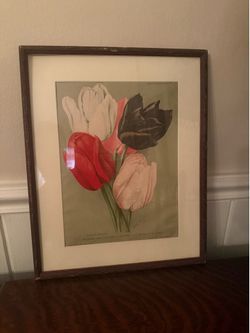 Antique German Botanical Chromolithograph c. 1(contact info removed)