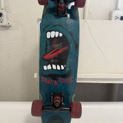 Santa Cruz Mini Board