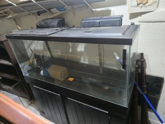Fish Tank