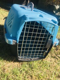 Pet Carrier - Measurements In Photos