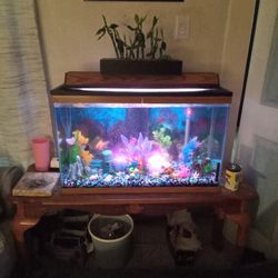 40 Gallon 