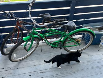 Cruiser bike