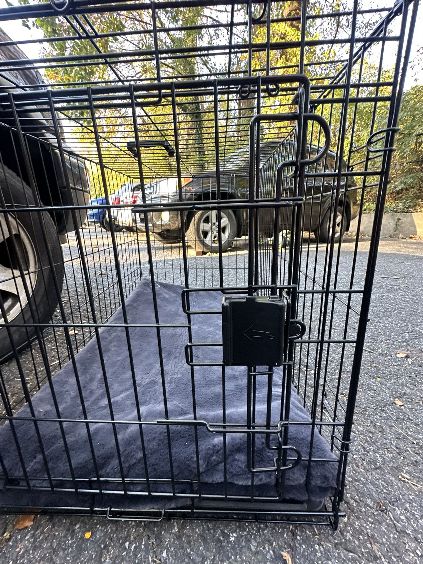 Medium  ( Perfect Condición ) 