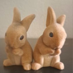 Two Brown Bunnies 