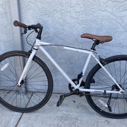 Retrospec Bike 