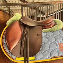 CWD Saddle 