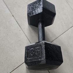 Single Dumbell - 35 lbs 