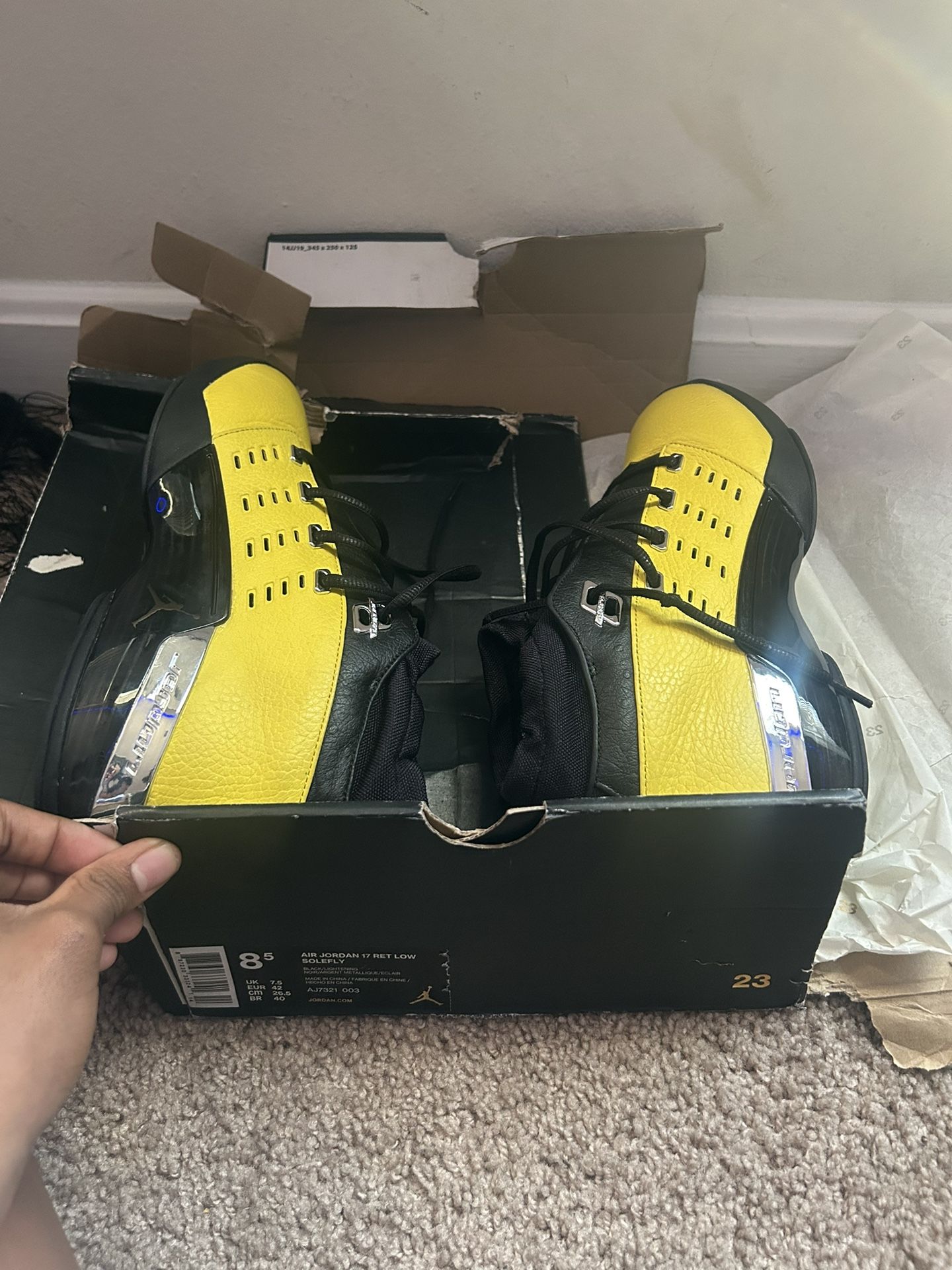 Jordan 17 Retro Lows