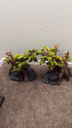 Items for aquarium/terrarium