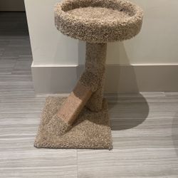 Cat Lounge