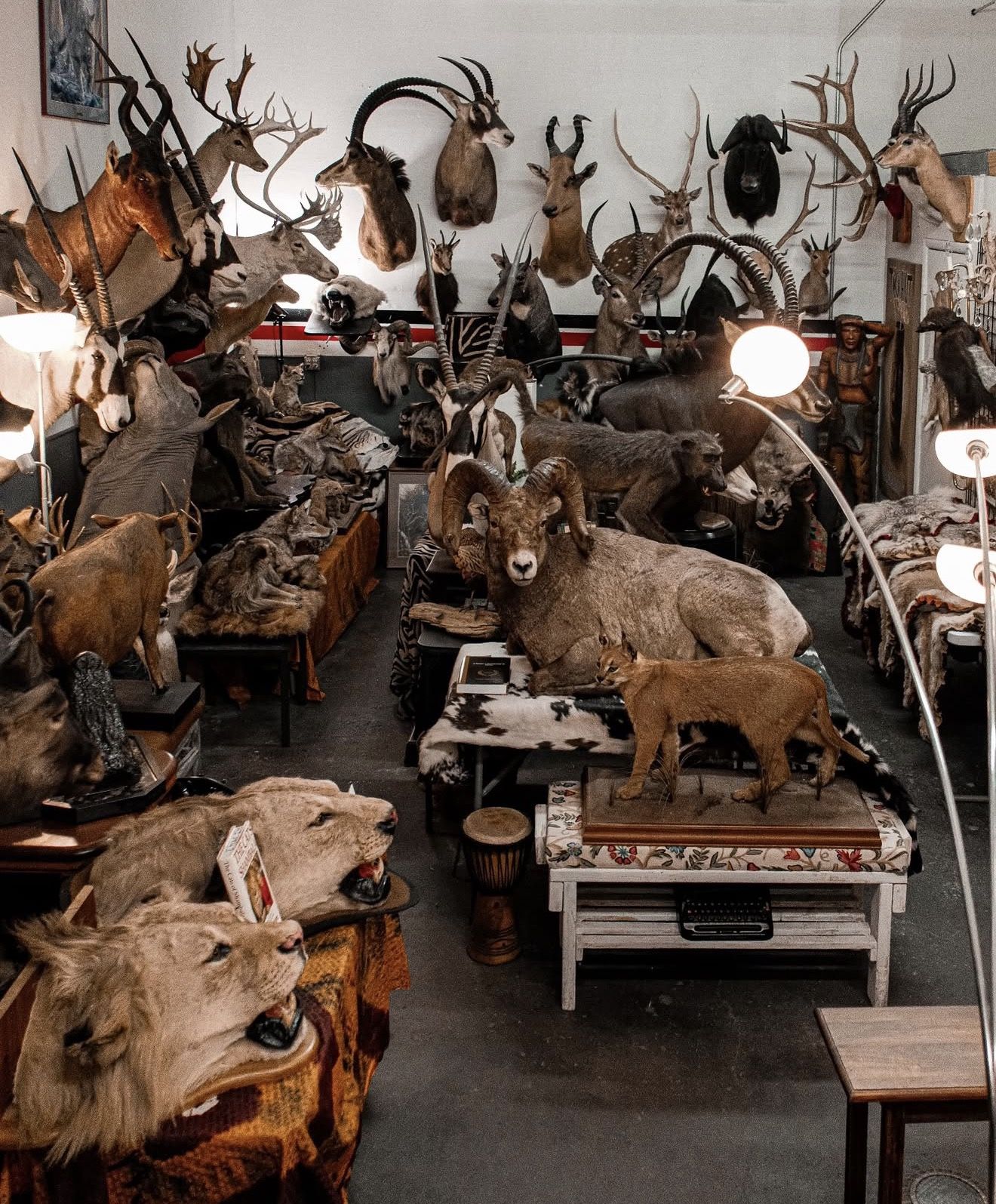 Open all weekend. Starting at $750.