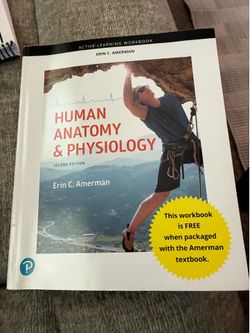 Human Anatomy & Physiology Workbook