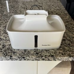 Cat Dog Water Fountain 