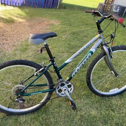 26 in  GIANT Boulder 21speed 