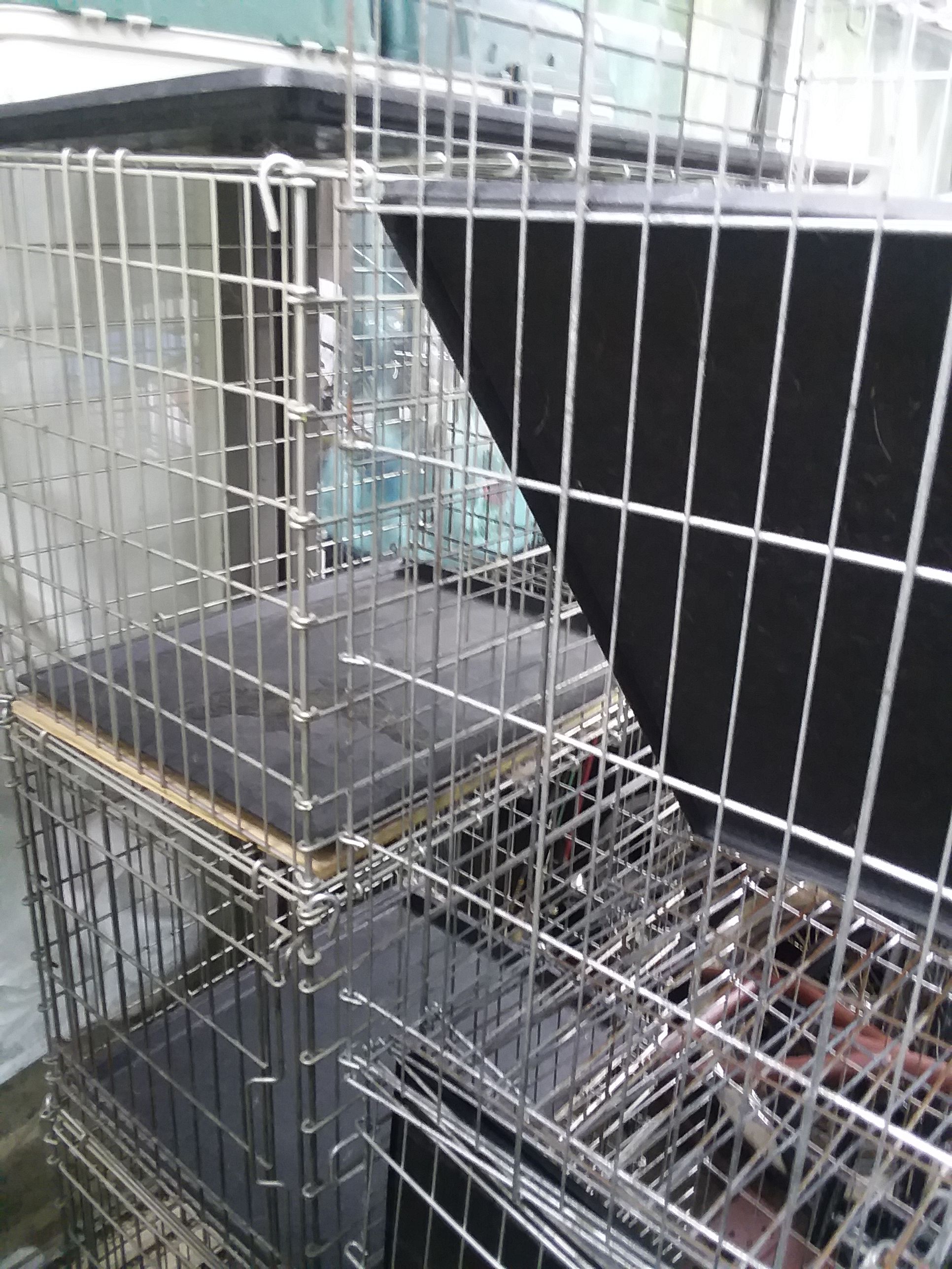 Med and large heavy duty pet cages