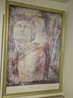 paetus phoenix by Richard Franklin