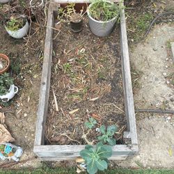 Planter Box - 2x4x1
