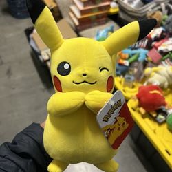 Pokemon Plushies 15$ Each