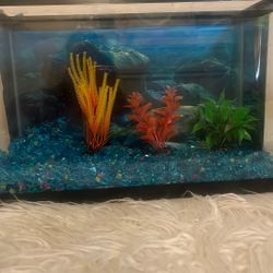 5 Gallon Fish Tank