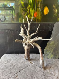 Aquarium Driftwood