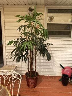 Artificial Raphis Palm Tree