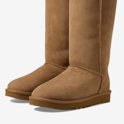 Woman UGG Classic Tall ll 