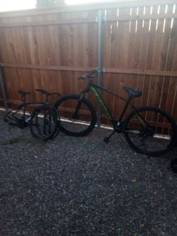 Schwinn and Outroad bicycles