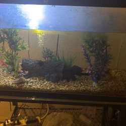 30 gallon fish tank