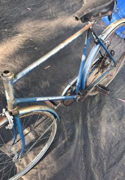 1973 Schwinn Suburban Bicycle