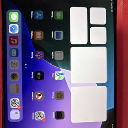 iPad Mini