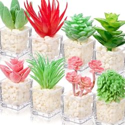 4 Pcs Succulent Fridge