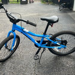 Trek Kids Bike