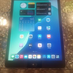 iPad Tablet/Computer (9th Generation)