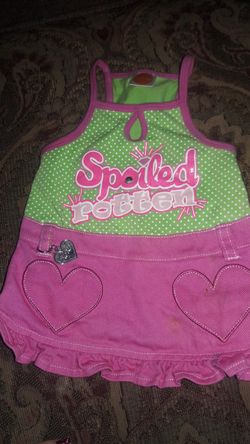 Outfit for dogs