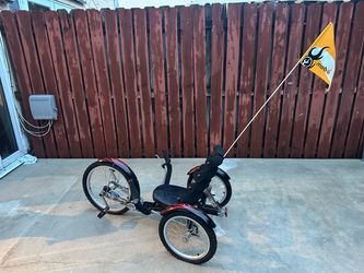 Mobo 3 Wheeled Cruiser Black