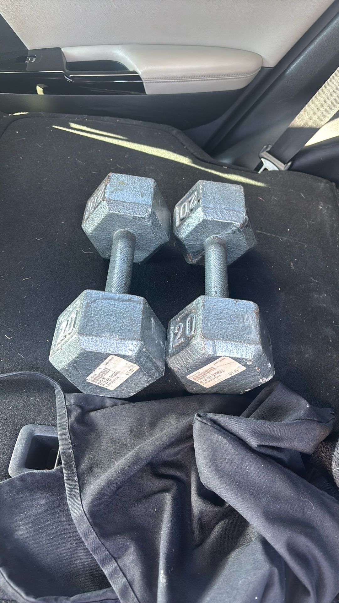 20 Pound Dumbbells