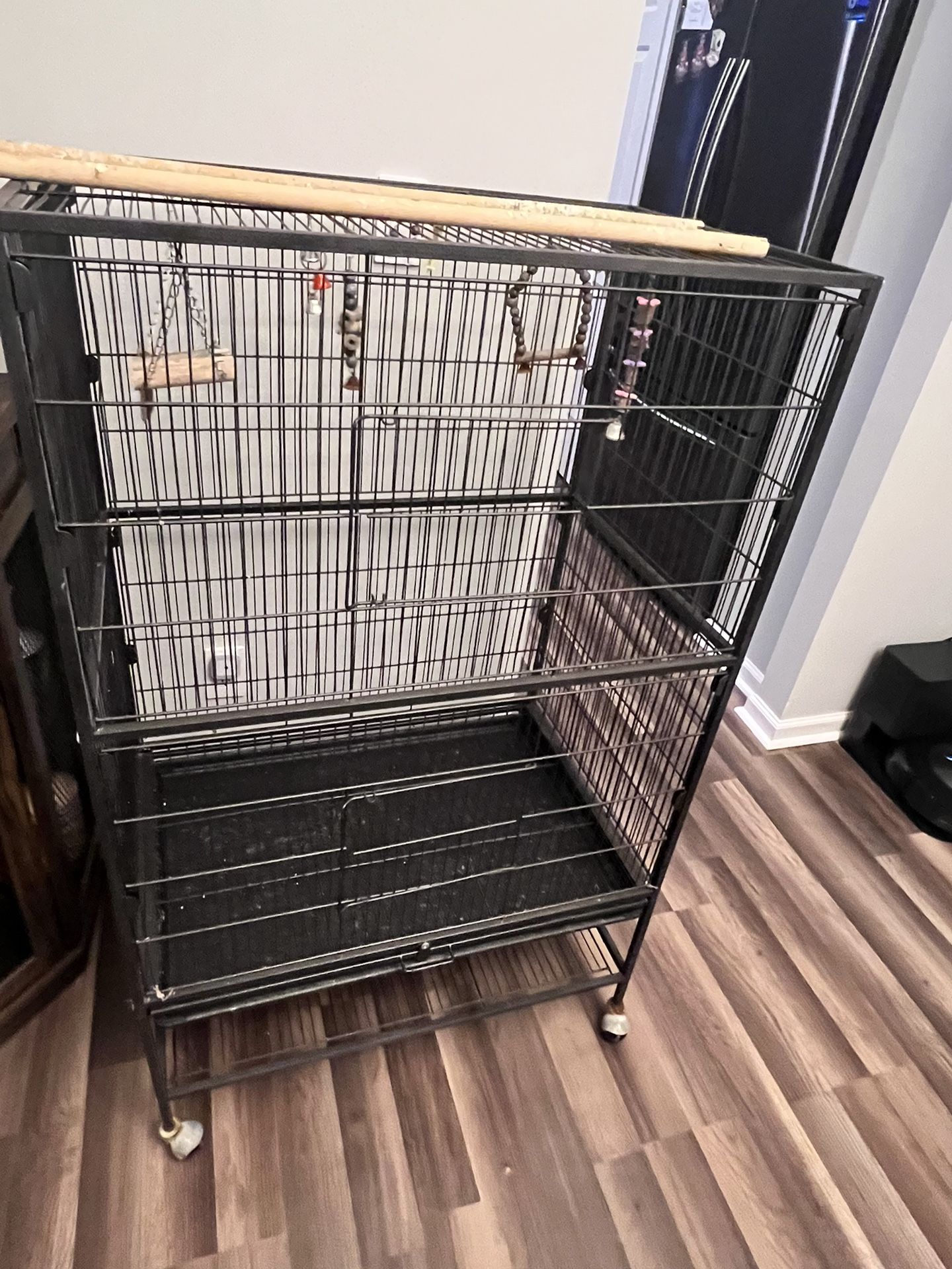 Bird Cage