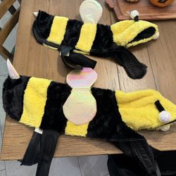 Bumble Bee Dog Costumes 