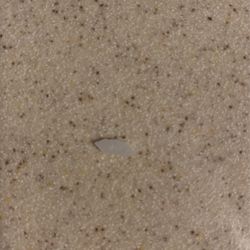 Grain Of Rice