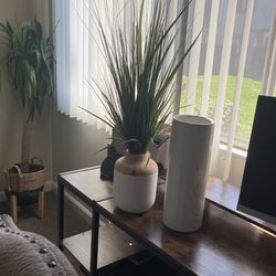 plants