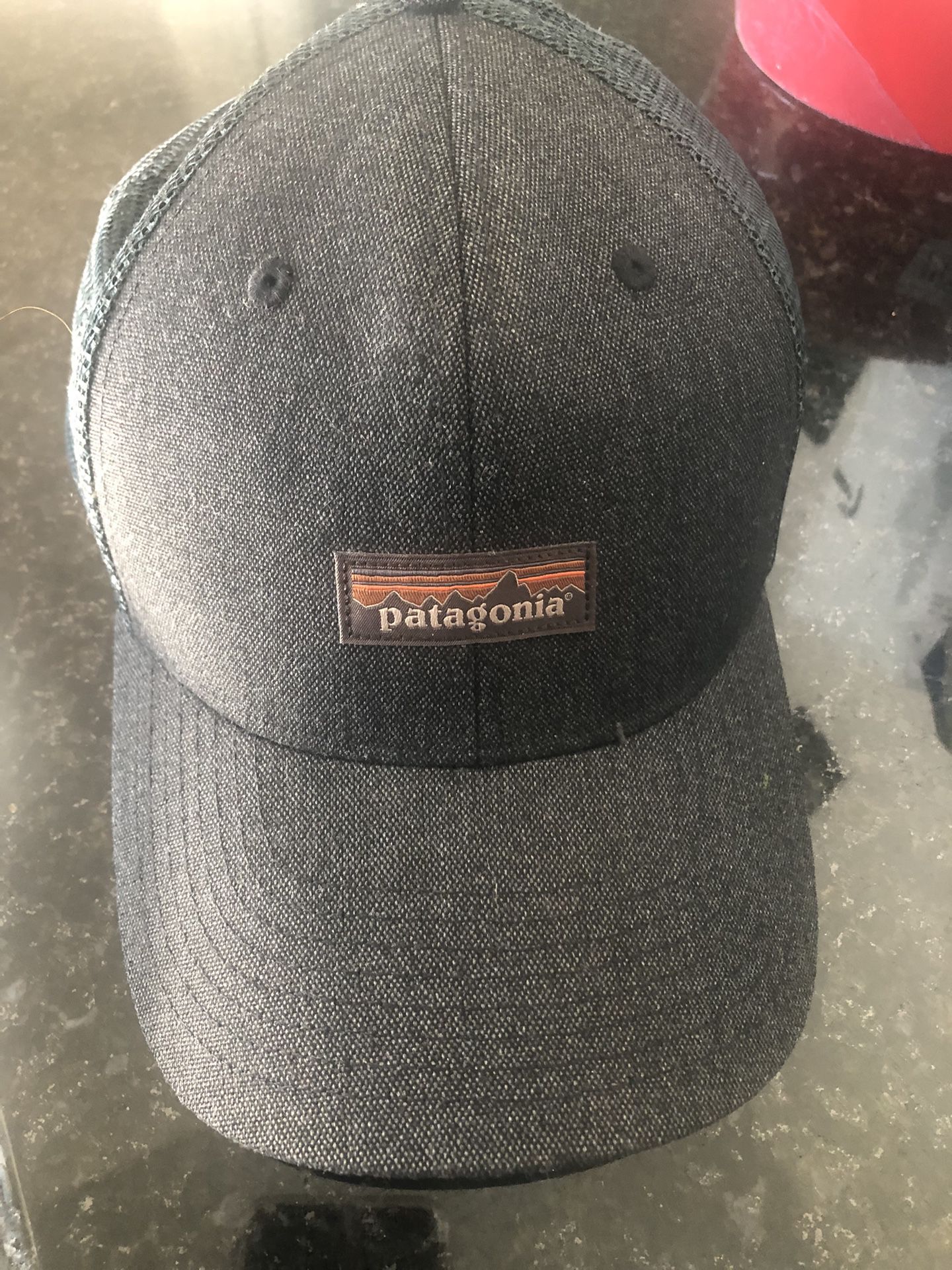 Patagonia Snap Back Hat