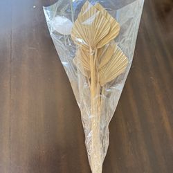 Sun cut palm spears – home decor - Lanzas de palma cortadas decoración hogar