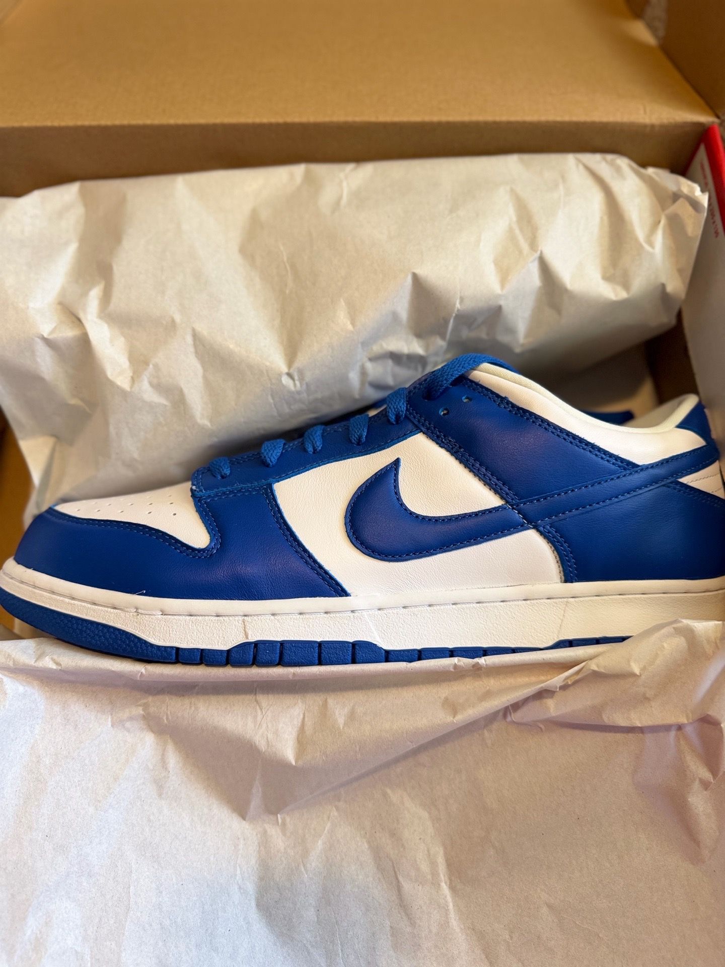 Nike Dunk Kentucky