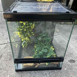 Zilla Glass Terrarium for Reptiles