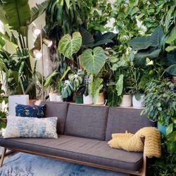 Midcentury Modern Z Sofa