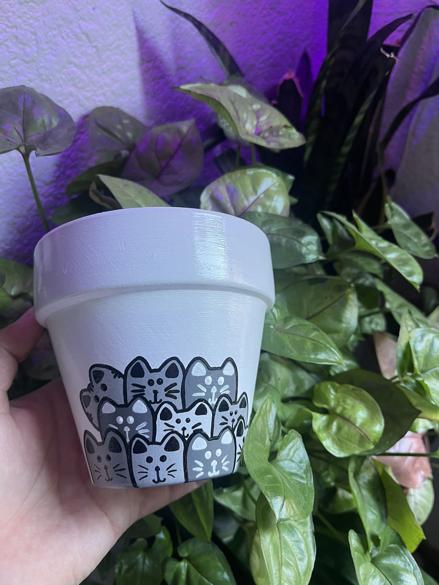 Hand Painted Pots