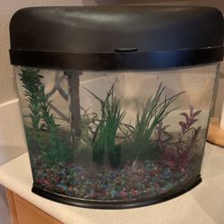 Aquarium