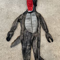 Dinosaur Or Dragon Costume